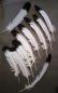 Preview: 100 Indianerfedern, ca. 25/30 cm, weiß mit schwarzer Spitze Adlerfeder Imitation