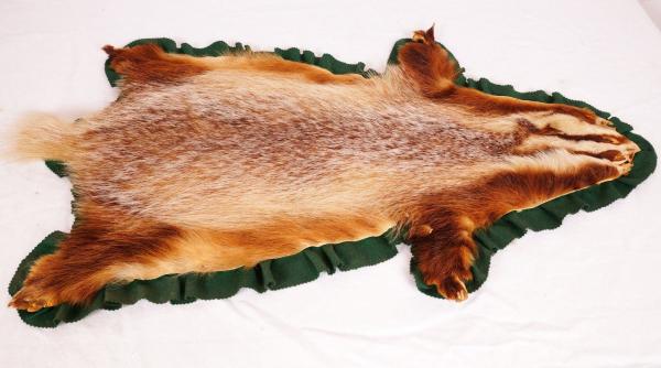 Schönes Dachsfell Badger Fur 103 x 58 cm